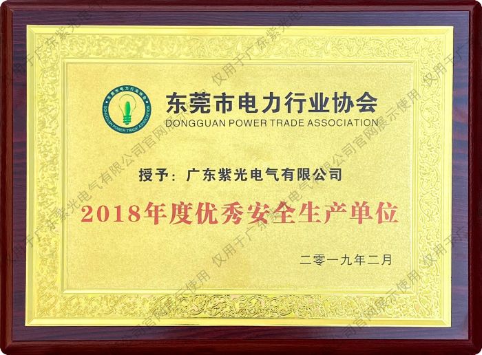 東莞市電力行業(yè)協(xié)會優(yōu)秀安全生產(chǎn)單位