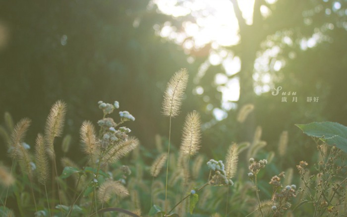 自強不息，不負青春，不負紫光